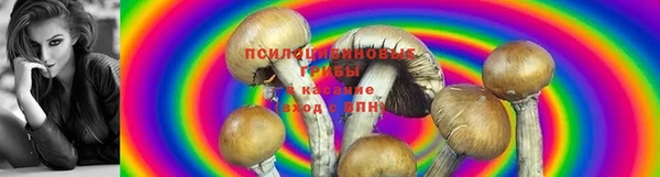 меф Каменка