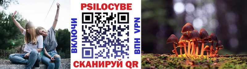 Купить закладки  Кедровый  Псилоцибиновые грибы MAGIC MUSHROOMS 