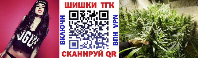 Каннабис MAZAR  Купить где  Кедровый 